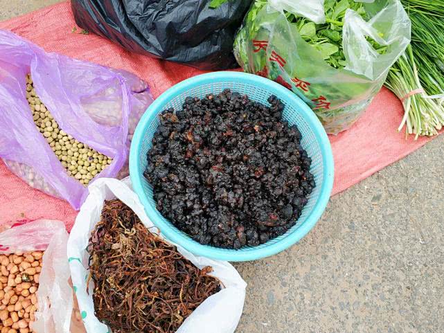 桃树上这种“煤渣”，过去农村娃当糖吃，如今30元一斤成稀罕货