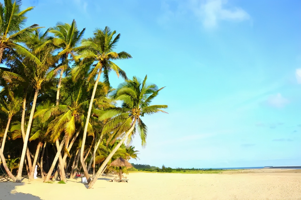 海南文昌东郊椰林风景名胜区,海南东郊椰林最美视频
