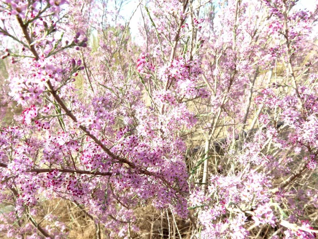 荒芜之地有裂隙么,荒芜之地好玩吗