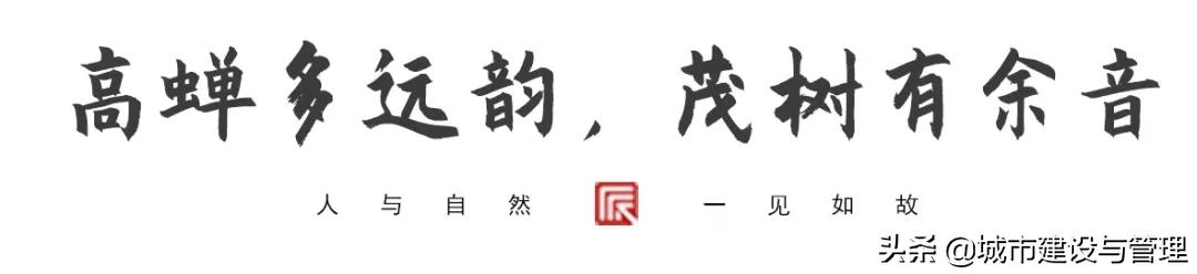 草树青翠虫鸣起，一枕清凉入梦来