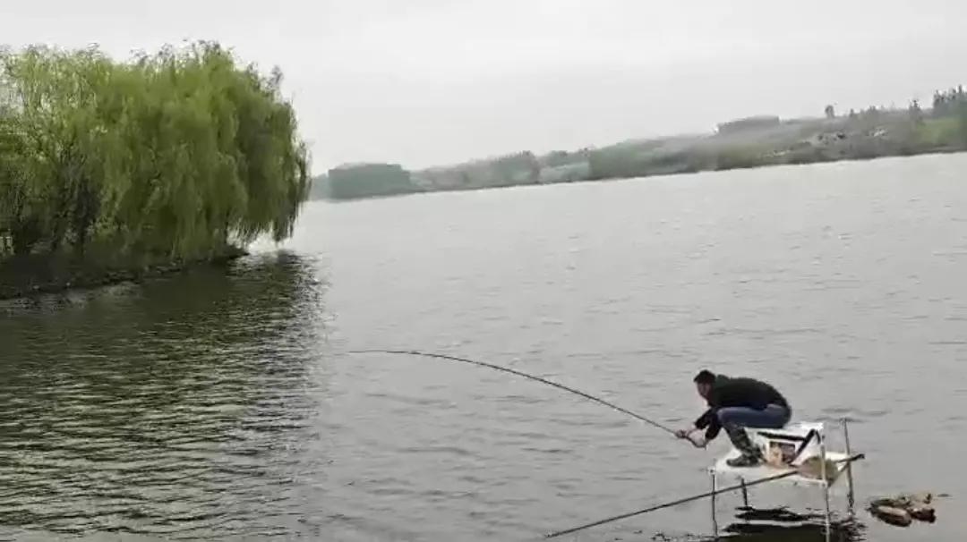 1.0子线遛十斤大鲤鱼,野钓10斤鲤鱼遛鱼技巧