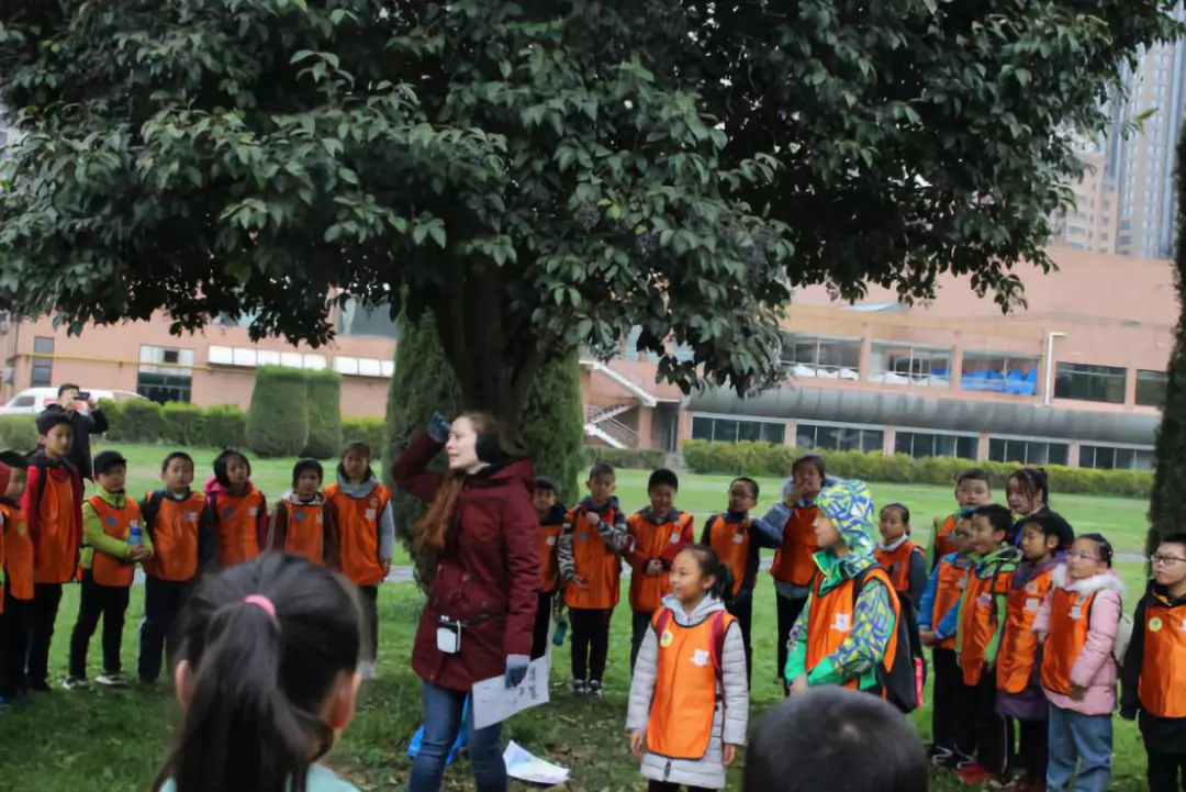 绫虫仼鍥介檯,绫虫仼鍥介檯鑻辫