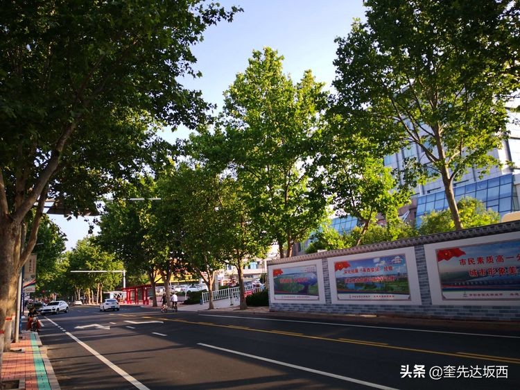 记录卖瓜的生活,卖瓜的生活实录