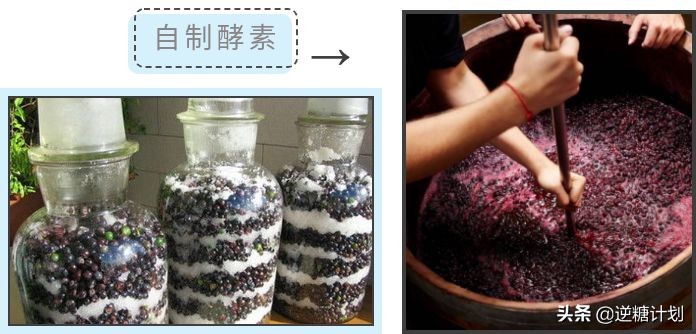 焦点访谈酵素真面目,焦点访谈酵素减肥靠谱吗