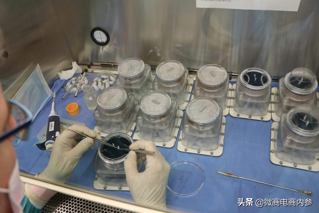 特百惠还能用么,特百惠a-5