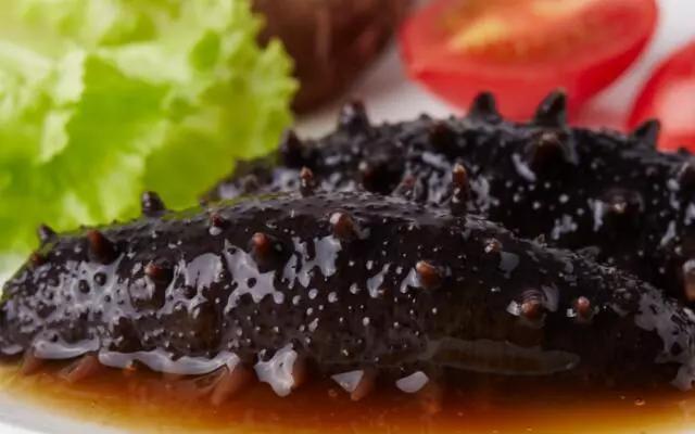 吃海参的常见误区你中枪了吗,吃海参前必须要知道这三件事