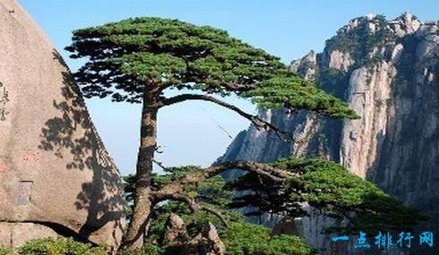 中国十大枫叶旅游景点,中国最刺激的十大景点