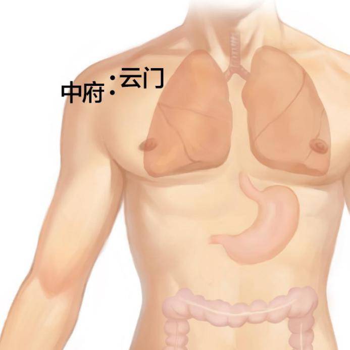 皮肤松弛毛孔粗大怎么从根本解决,毛孔粗大皮肤衰老应该怎么办
