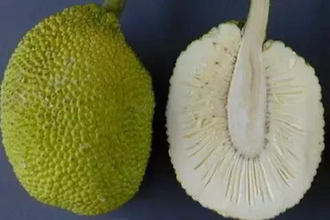 世界公认十大降血糖水果,世界十大罕见水果排行