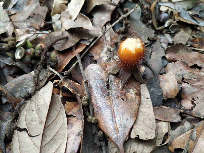 杭州市周末自驾游去哪里好玩,杭州出发周末旅游攻略