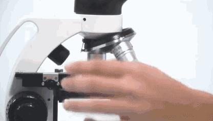 后背长痘的原因和改善方法,后背长痘太可怕了该怎样调理