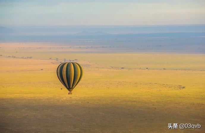 鏈涙棤杈归檯鐨勬捣,鏈涙棤杈归檯