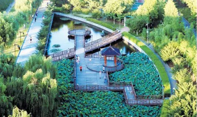 我们一起，还住汉阳