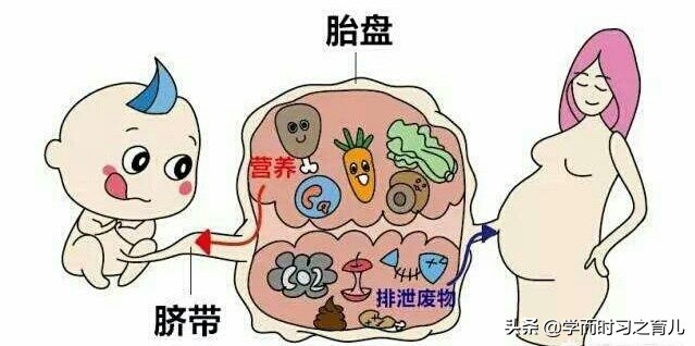 孕妇须知：脐带异常的5种情况和危险，准妈妈做好这些，别慌张