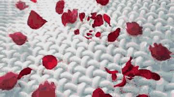 为什么衣服洗完总是有一股馊味,怎样洗汗臭味衣服才更干净