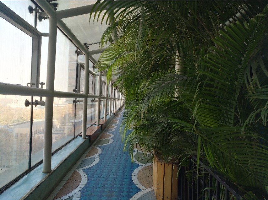 石家庄空中花园居住现状,石家庄空中花园的楼房为什么便宜