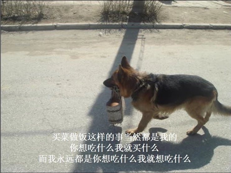 我只想说声爱你,只想再爱你一次