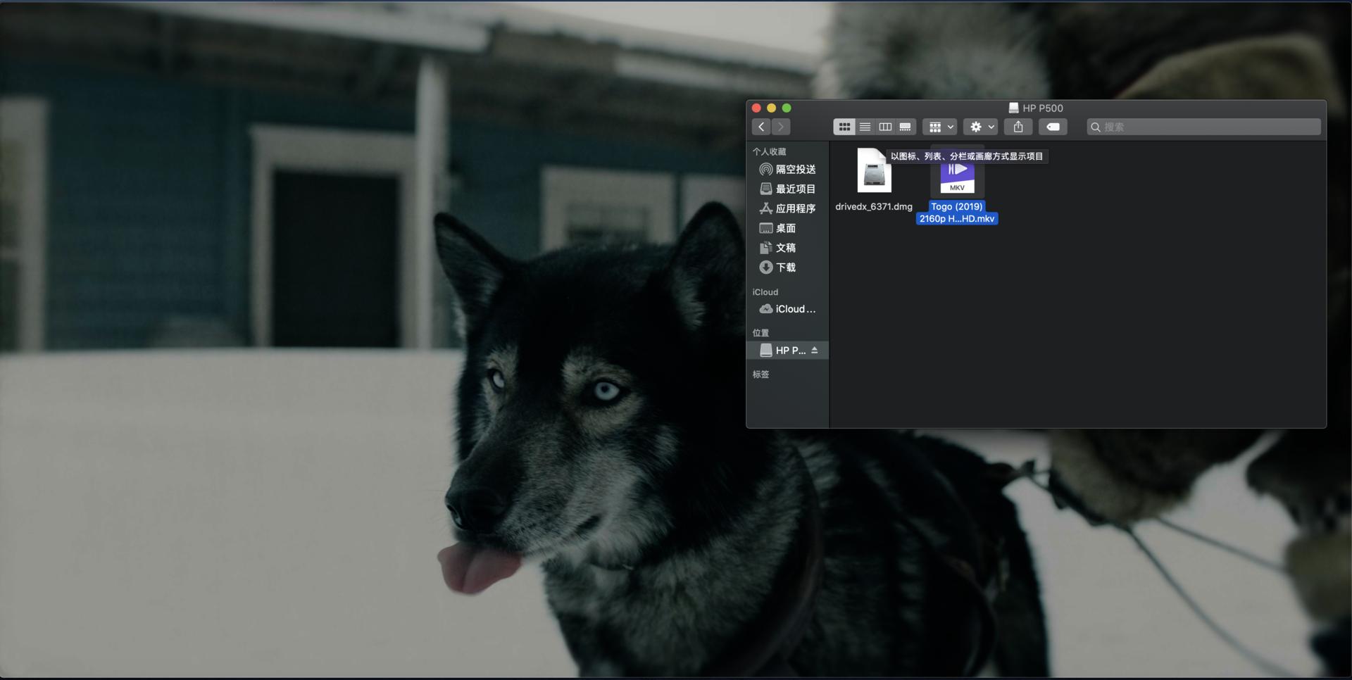 惠普p500和p900,惠普ssdp500测评