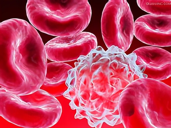 吃什么能治白细胞低,白细胞低吃什么药可以增加白细胞