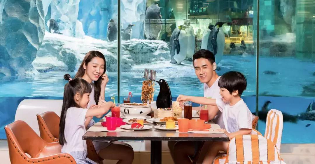 带小婴儿长隆动物园游玩攻略,亲子游玩广州熊猫酒店长隆攻略