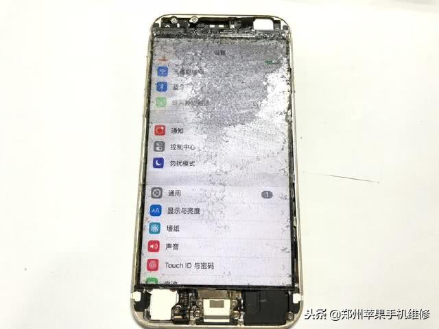 苹果6外屏更换教程,苹果6换外屏全过程