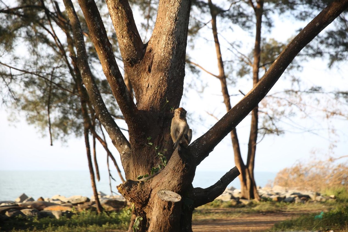 庆祝两国建交30周年,庆祝中文建交30周年纪念会