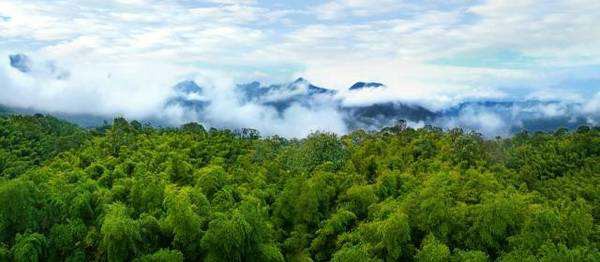 遵义是红色城市,为什么遵义是红色的城市
