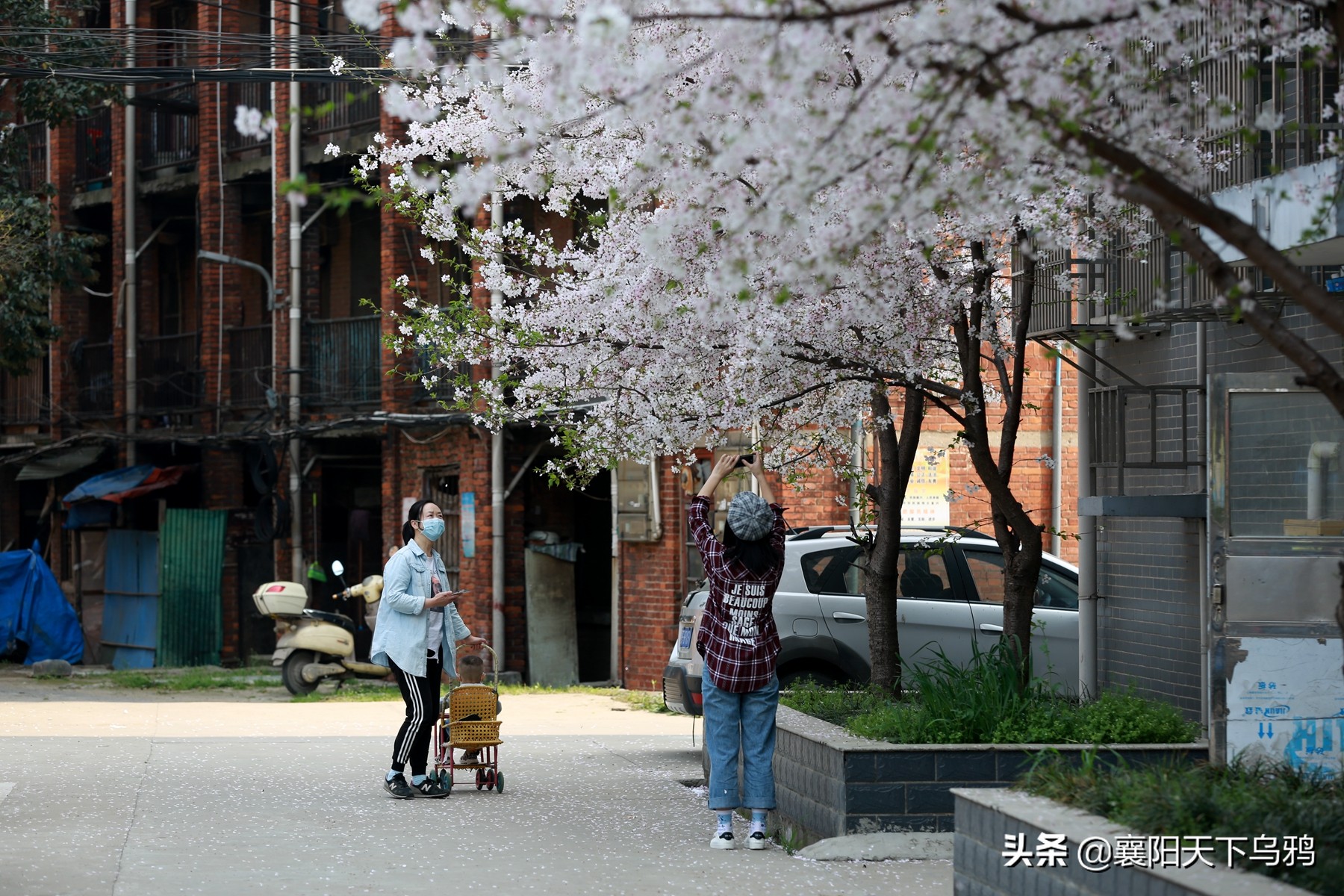 一些事情,谁都不愿意做,但总得有人去做