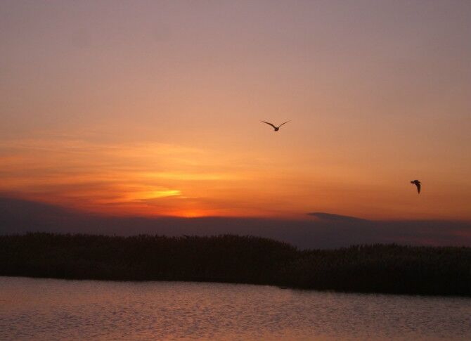成都到额济纳旗五日游,南京到额济纳旗旅游攻略