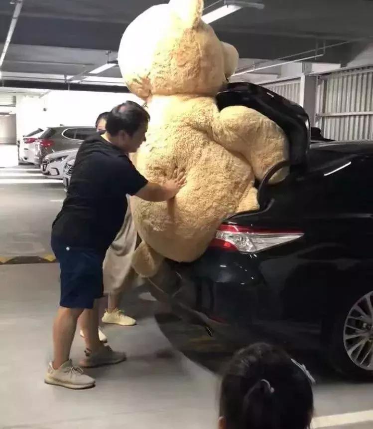 上海costco网红拍照,最强攻略上海costco