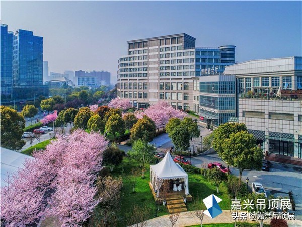 吊顶嘉兴展,嘉兴吊顶展酒店