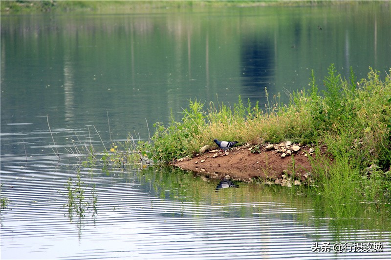 平阴县毛铺八里沟,平阴安城毛铺水库