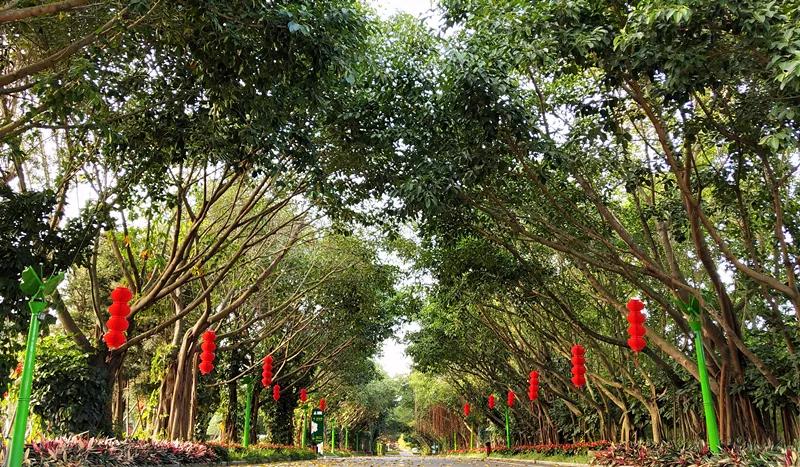 东南花都花博园全新升级鹿岛公园,东南花都花博园导览图