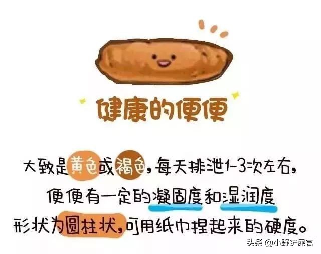 狗狗铲屎官的必要知识,作为狗狗的铲屎官该如何铲屎