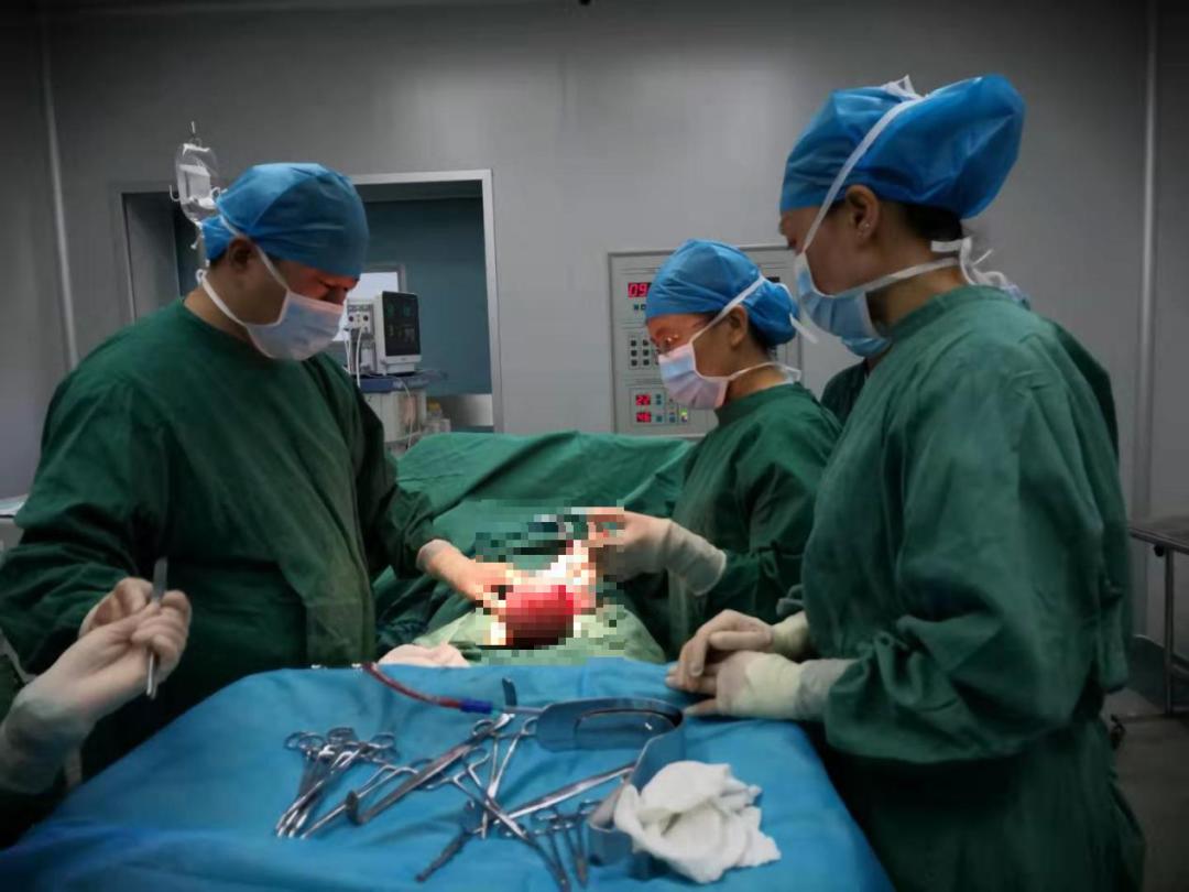 虹口援滇医生：​他们在云南医疗一线燃起不熄的火焰