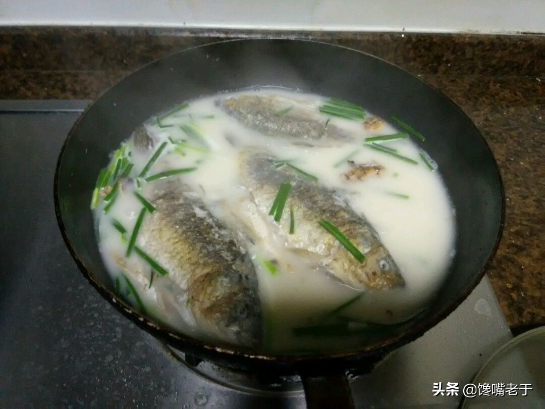 炖鱼汤怎样炖才好喝还不腥,怎样炖出来的鱼汤才会又香又好喝