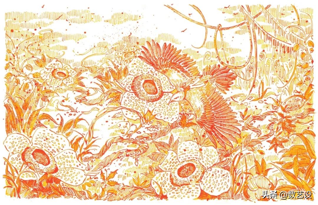 一眼入坑的镜头,一眼入坑下一句