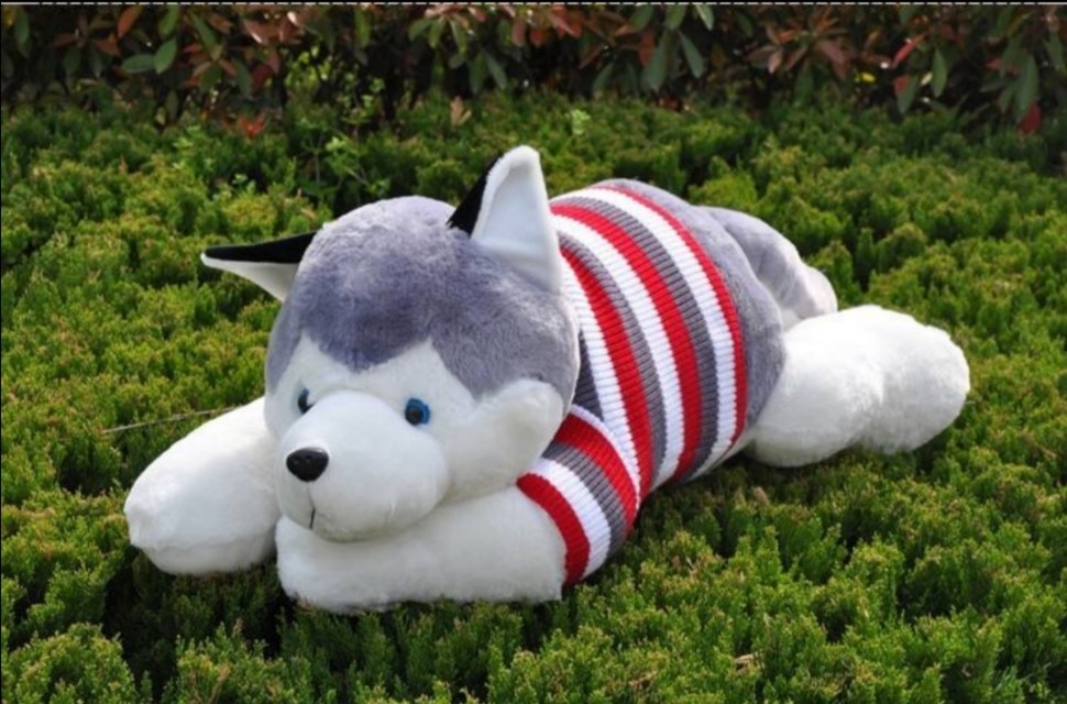 小说系统金手指,六本系列小说言情