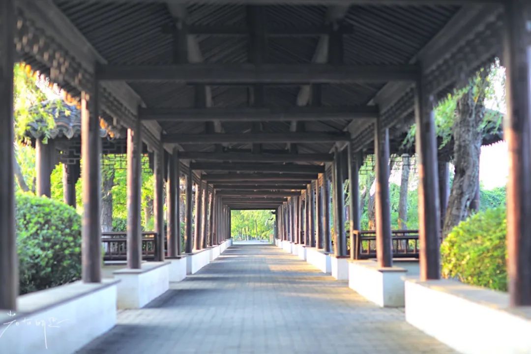 娌欏娴滅殑绱壊鑺辨捣,娌欏娴滈鏅尯鑺辨捣