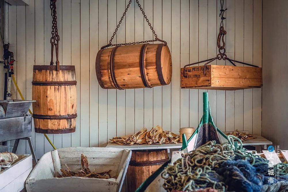 维京遇到全域旅游，美丽乡村、特色小镇一网打尽：挪威渔业史漫步