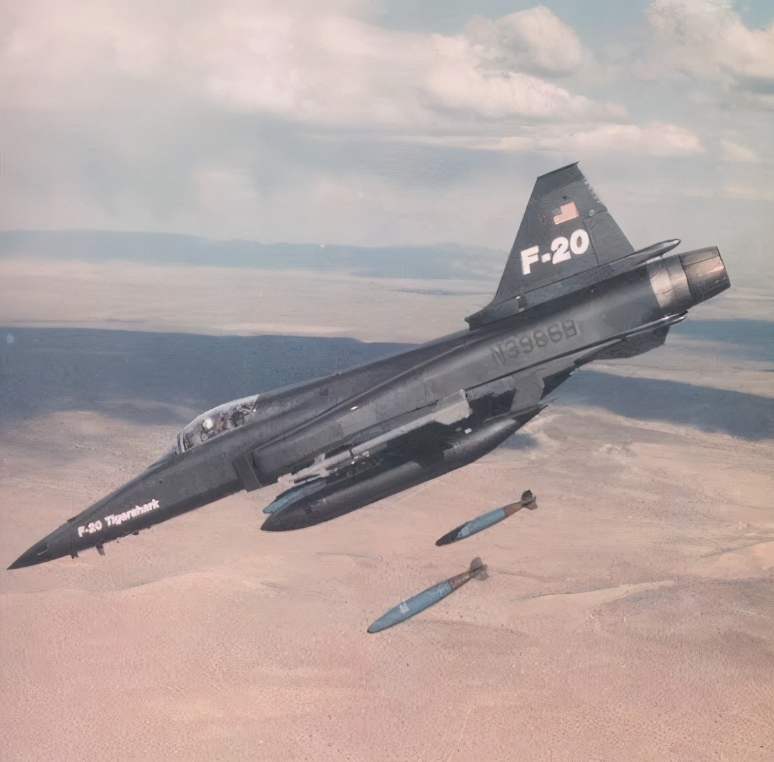 极富悲剧色彩的虎鲸,虎鲨悲剧