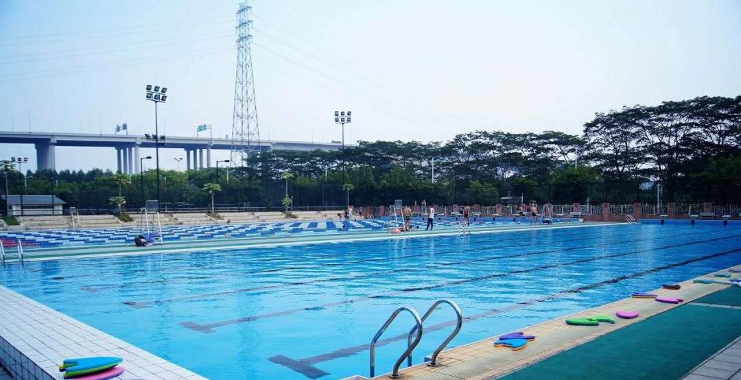 中国所有有游泳池的大学,广东省哪个大学有游泳池