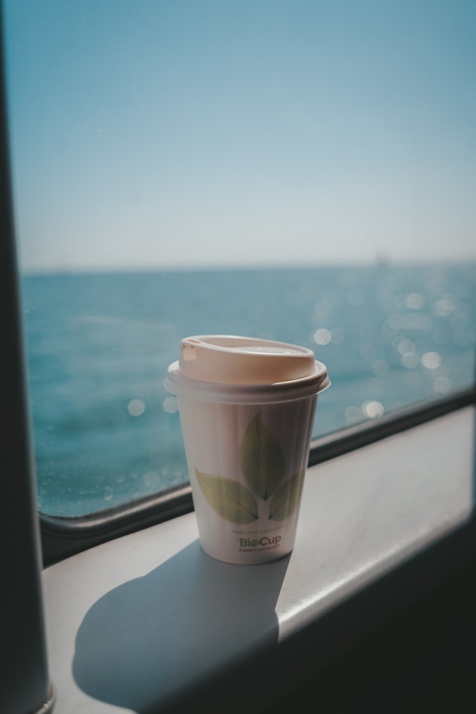 澳洲观鲸攻略,澳洲观鲸之旅