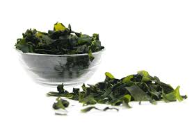 肥宅必看4分钟高效燃脂甩掉大肚,肥宅之光bbc