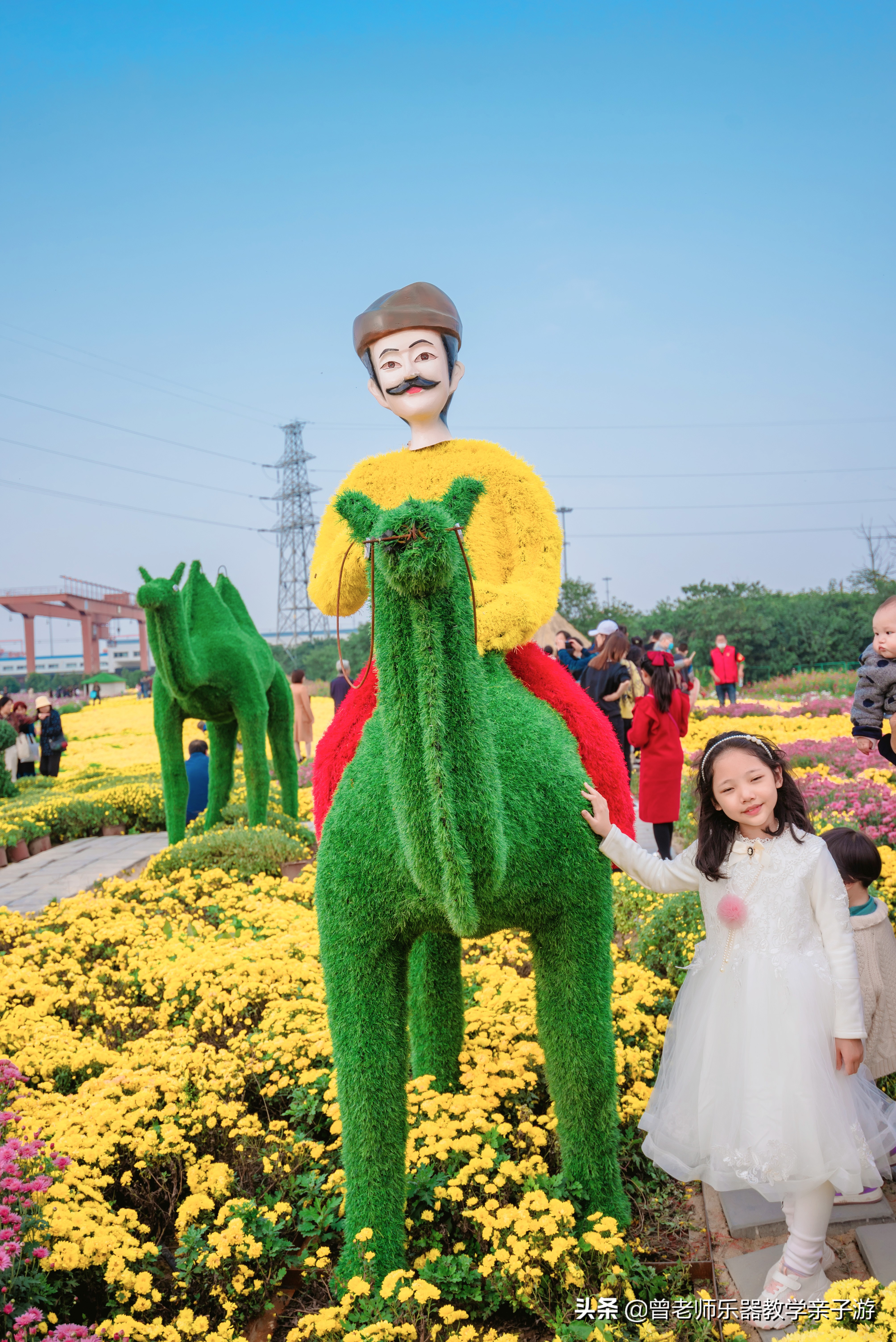 爱菊研学游,爱菊丝路文化菊花园西安