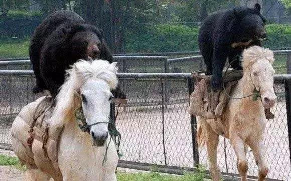 溜溜果园利润怎么样,溜溜果园杨帆简历