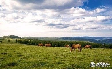 山西宁武芦芽山,山西宁武芦芽山景区