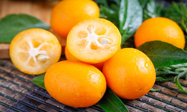 湖南省长沙市长沙县特产,湖南省常德市十大特产是什么