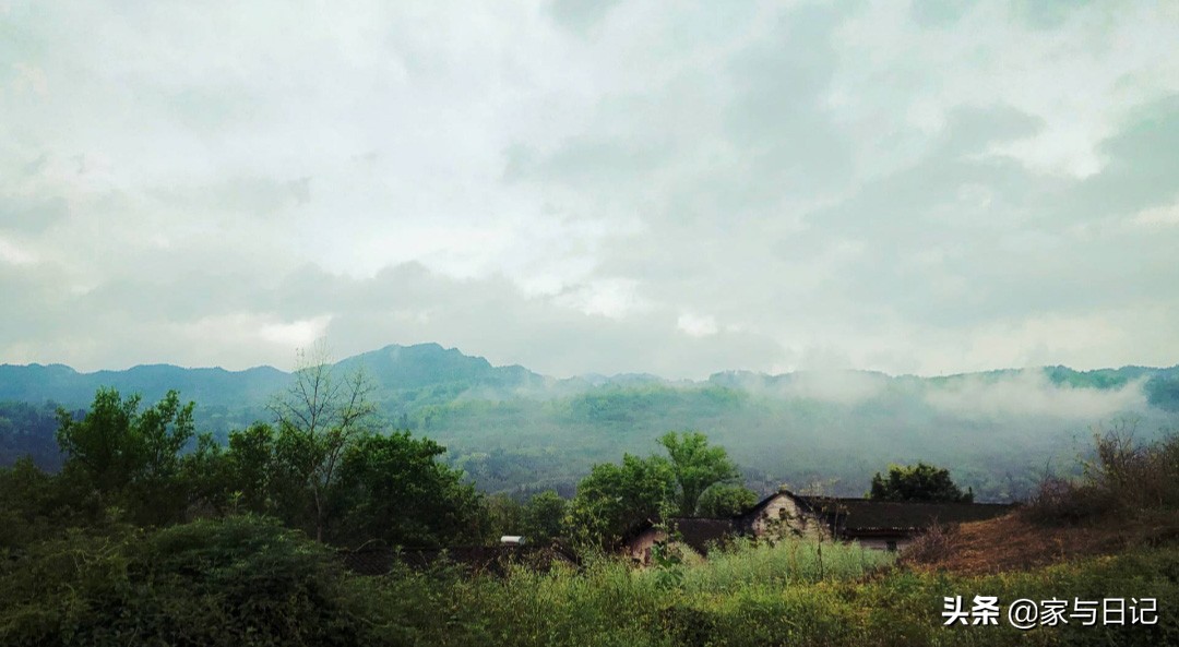 摄影必备的十款app,手机摄影入门教程app