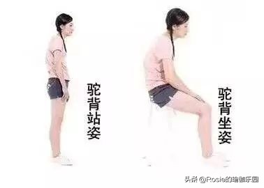 腰细臀大腿粗怎么瘦,腰细腿粗怎么瘦最快